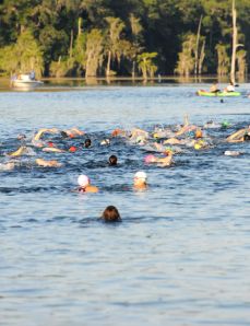 Freedom Springs 2014 2