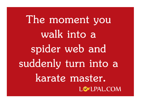 karate-master